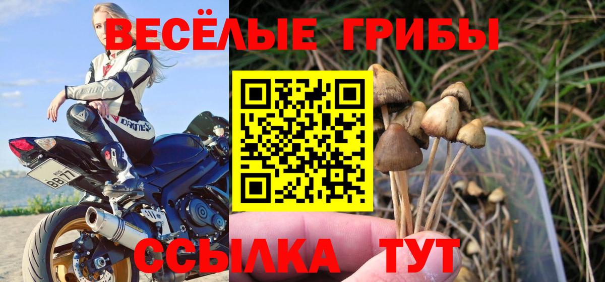 Галлюциногенные грибы мухоморы Приморско-Ахтарск