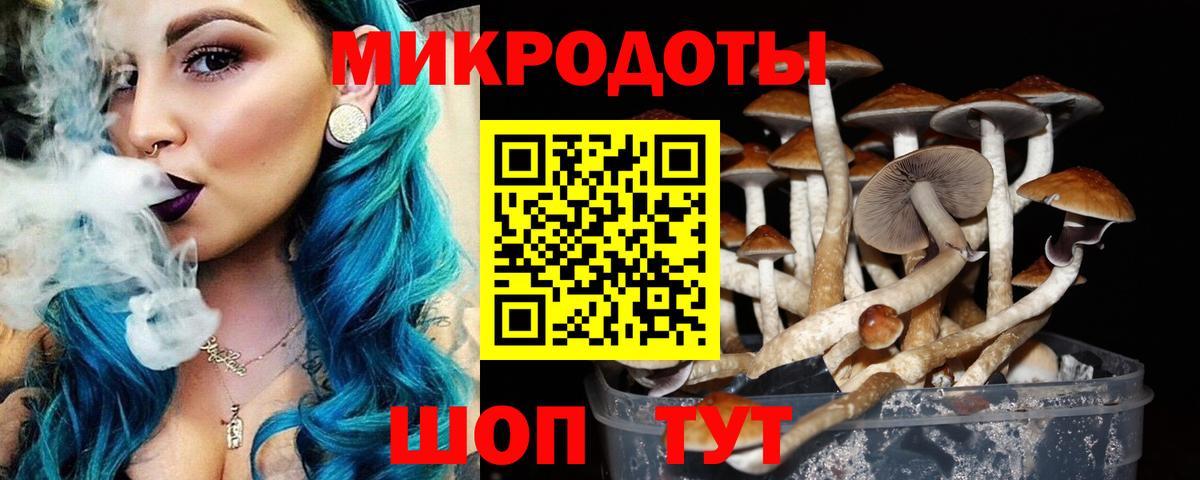 Псилоцибиновые грибы Cubensis  Вход с VPN  Приморско-Ахтарск 